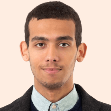 MENA Sustainable Finance Circle member Mohamed Ali Raddaoui